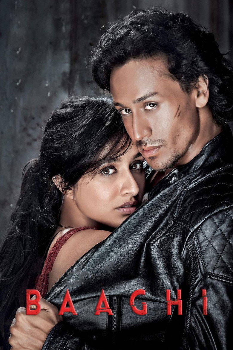 Baaghi artwork