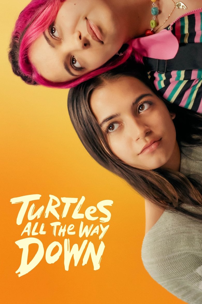 Turtles All the Way Down artwork